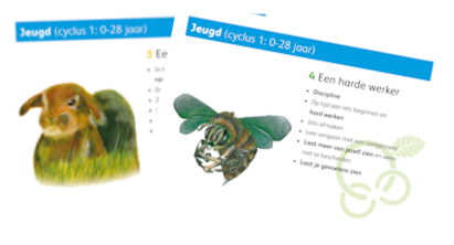 kaartjes-34