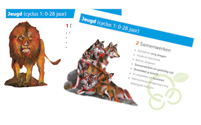 kaartjes-12